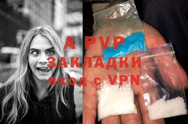 СК Балахна