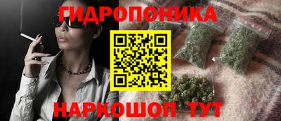 индика Пыть-Ях