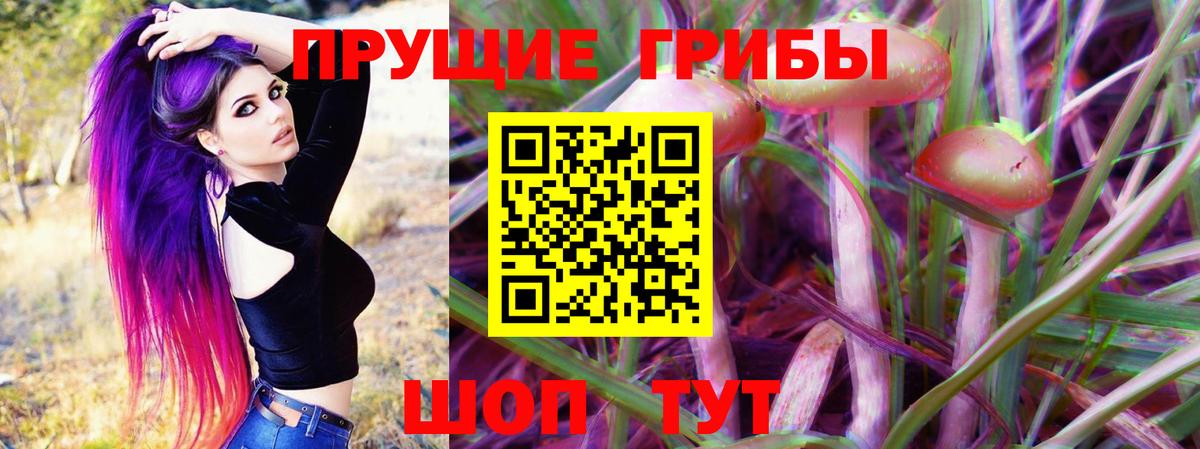 Галлюциногенные грибы Psilocybine cubensis Барабинск